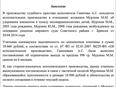 Причины запретов на международные поездки