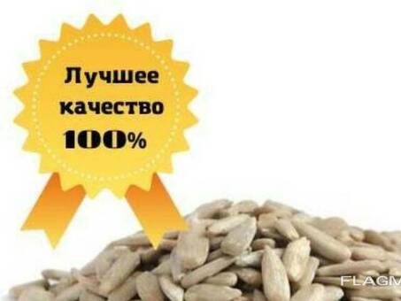 Покупка и продажа ООО: поиск лучшей сделки для вашего бизнеса