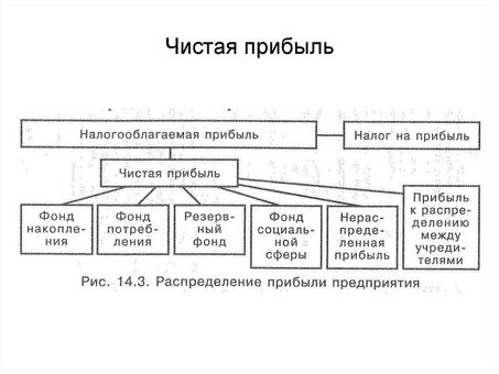 Понимание коэффициента чистой прибыли: объяснение основных элементов