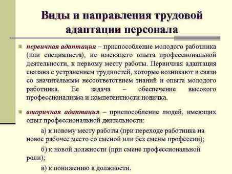 Услуги по адаптации новых сотрудников - повышение производительности и успеха