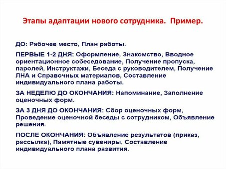 Адаптация на рабочем месте: профессиональные услуги для плавного перехода: профессиональные услуги для плавного перехода