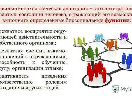 Как адаптировать новичков в социальных группах: советы и стратегии: основные советы и стратегии