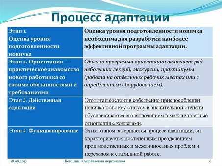 Эффективные стратегии адаптации новых сотрудников