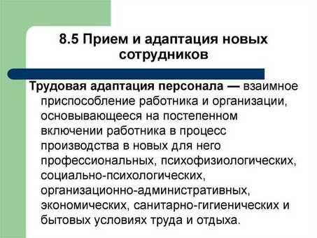 Служба адаптации новых сотрудников |Улучшение процессов инклюзии и интеграции