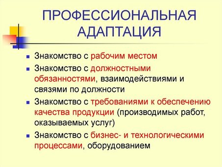 Услуги по адаптации и координации сотрудников