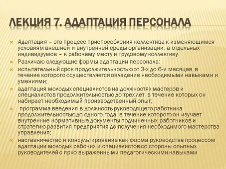 Услуги по адаптации сотрудников: комплексное решение для успешной интеграции и консолидации