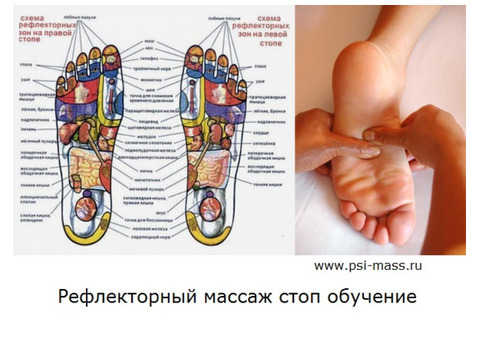 Обучение массажу стоп ног. Рефлекторный массаж стоп.