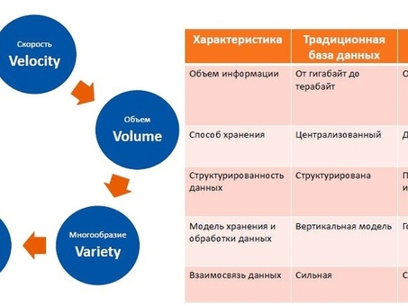 Базы больших данных: раскрытие потенциала информации