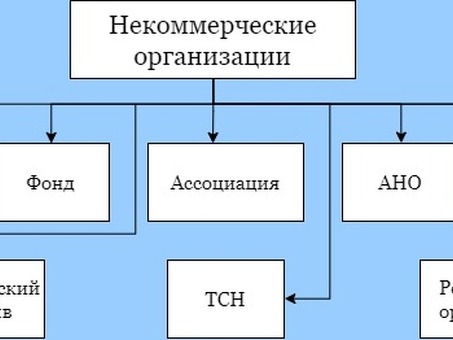 Доступные самоуправляемые некоммерческие организации в Москве - решения для развития местных сообществ