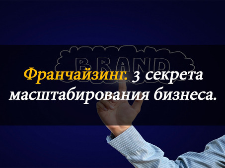 Бизнес-идеи на основе франчайзинга: путь к успеху