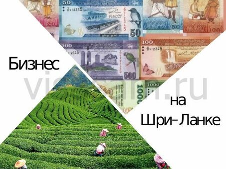 Купить бизнес в Шри-Ланке и начать историю успеха - лучшие предложения и возможности