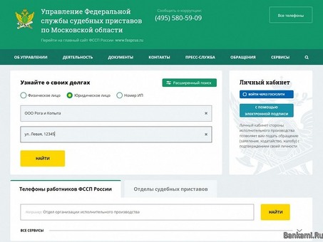 База данных ФССП России - конечный источник финансовой информации