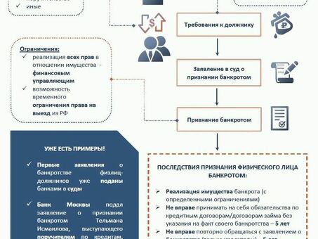 Все, что нужно знать о подаче заявления о банкротстве