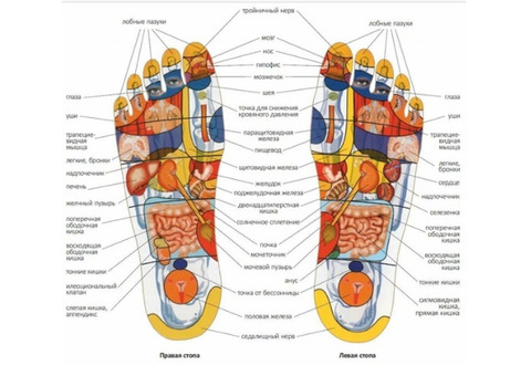 Травяной массаж ног. Связь со всеми внутренними органами. Москва