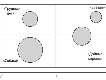 Матрица БКГ: БКГ: обзор