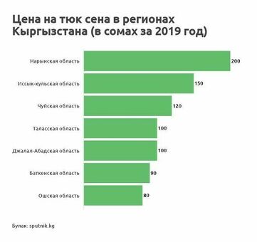 Сено 500: цены на тюк сена от производителя