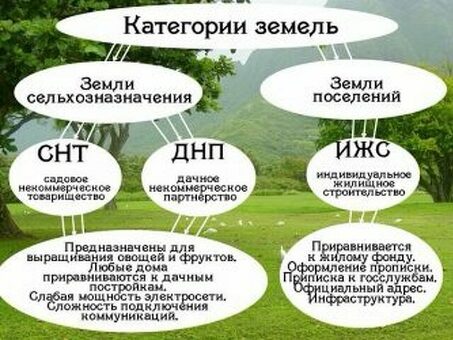 Популярные земли сельхозназначения: найдите свою выгодную недвижимость