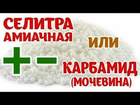 Цена карбамида за тонну - стоимость удобрения на сегодня