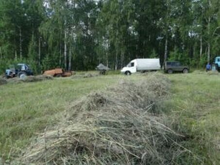 Цена на тюк сена в интернет-магазине