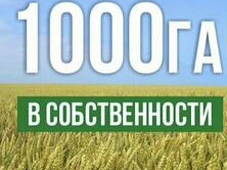 Купить земельный участок фермерского хозяйства в Рязанской области Продажа подходящих участков