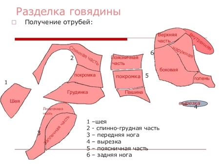 Купить полутуши говяжьи оптом по низкой цене