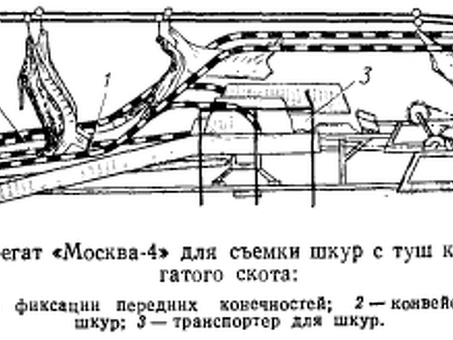 Скупка кожи крупного рогатого скота в Омске - выгодные цены