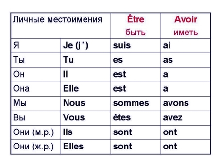 Профессиональный перевод кошачьих текстов