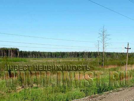 Покупка сельхозземли в Оренбургской области - выгодные предложения