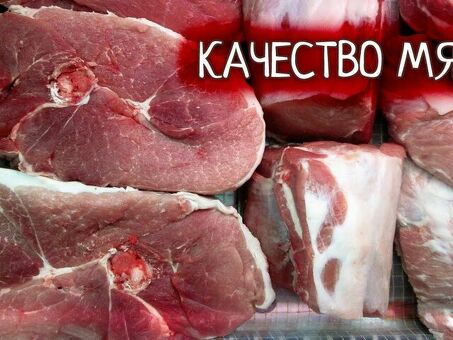 Цены на мясо кролика: узнать стоимость и заказать по выгодным ценам.