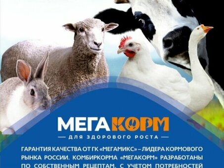 Мы реализуем корма оптом по разумным ценам.