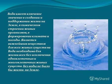 Физиологическая роль воды в растениях: влияние на рост и развитие.