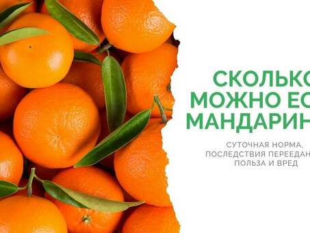 Цена за килограмм мандаринов: найдите лучшую цену на FreshFruits.