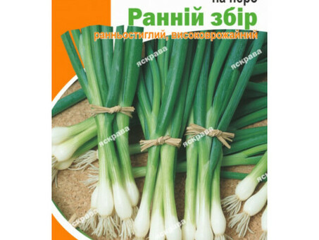 Купить луковые крылышки онлайн по выгодной цене | Продать луковые крылышки по низким ценам.