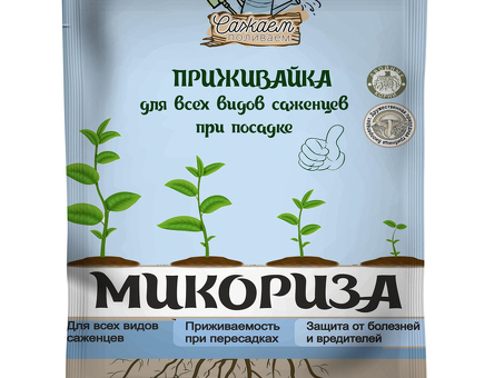 Купить минеральную воду оптом по выгодной цене | Электронный магазин