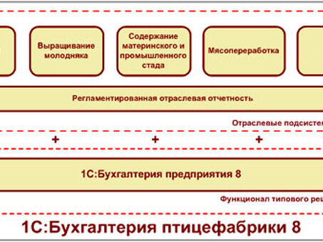 Быстрый и точный сервис по расшифровке данных 1С - разблокируйте свои данные прямо сейчас!