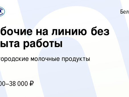 Вакансии начального уровня в Белгороде: начните свою карьеру прямо сейчас!