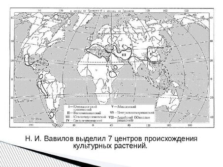 Центр происхождения сои – место, где рождаются семена сои высочайшего качества.