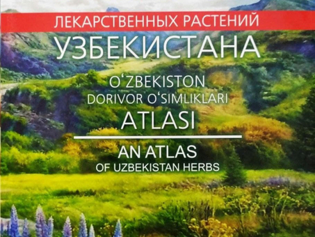 Лекарственные растения Узбекистана – традиции Москвы и всей России