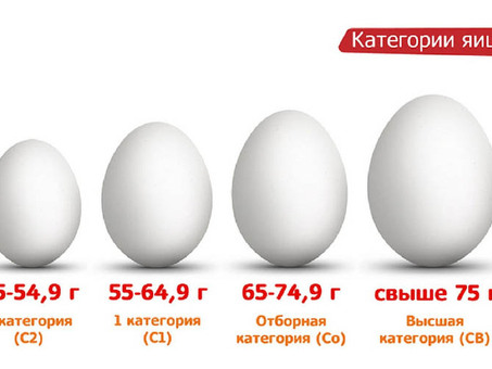 Купить яйца по выгодным ценам – лучшие предложения нашего магазина.