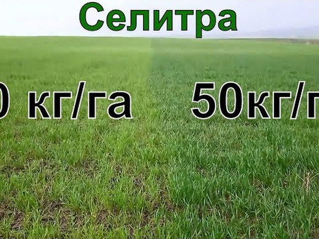 Мука Премиум 50кг Цена - уточняйте у Помощника