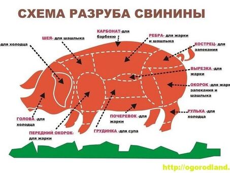 Свинина в Казани: цены и актуальная информация | На сегодня и на завтра