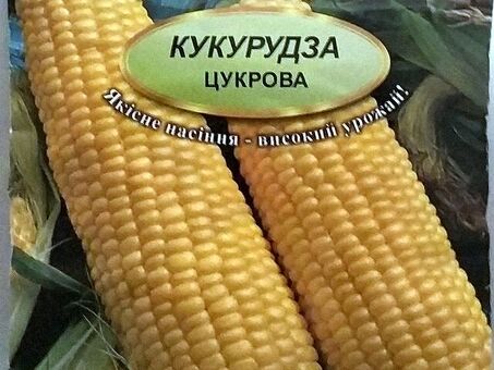 Выгодные предложения от 1 кукурузы!