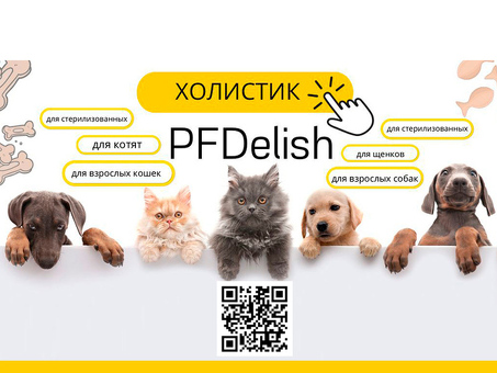 Холистик корма для собак и кошек ТМ PFDelish