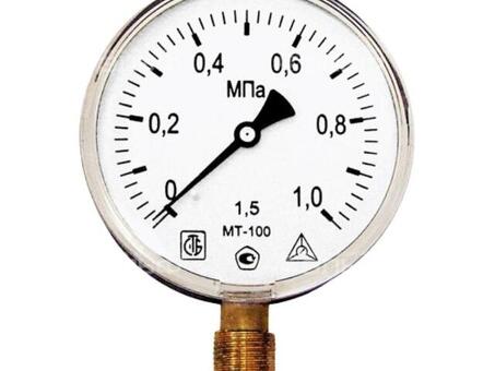 Манометр технический показывающий МТ-100 до 0,6МПа М20х1,5, Багория