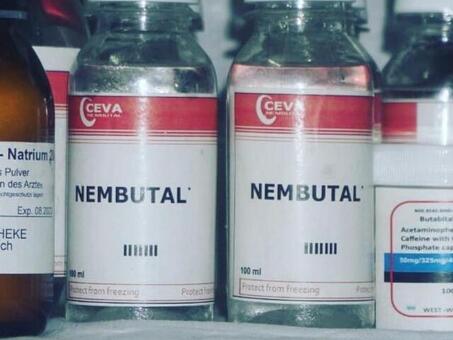 BUY NEMBUTAL ONLINE ,BUY PENTOBARBITAL SODIUM, BUY INJECTABLE NEMBUTAL,BUY