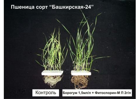 Реализуем инновационные биопрепараты