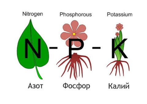 Азофоска NPK 16-16-16 ПАО Дорогобуж