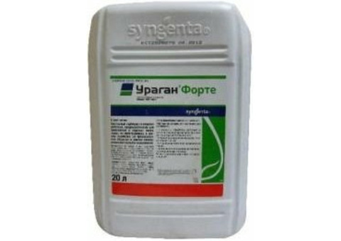 Ураган Форте, ВР (20 л)