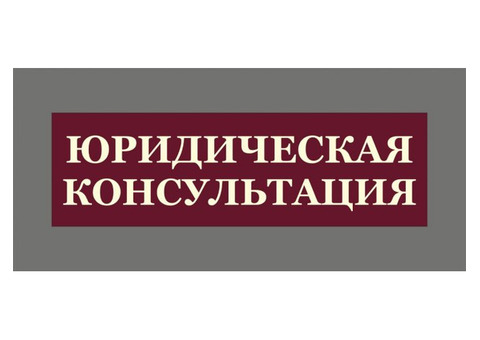 Профессиональная Юридическая Консультация